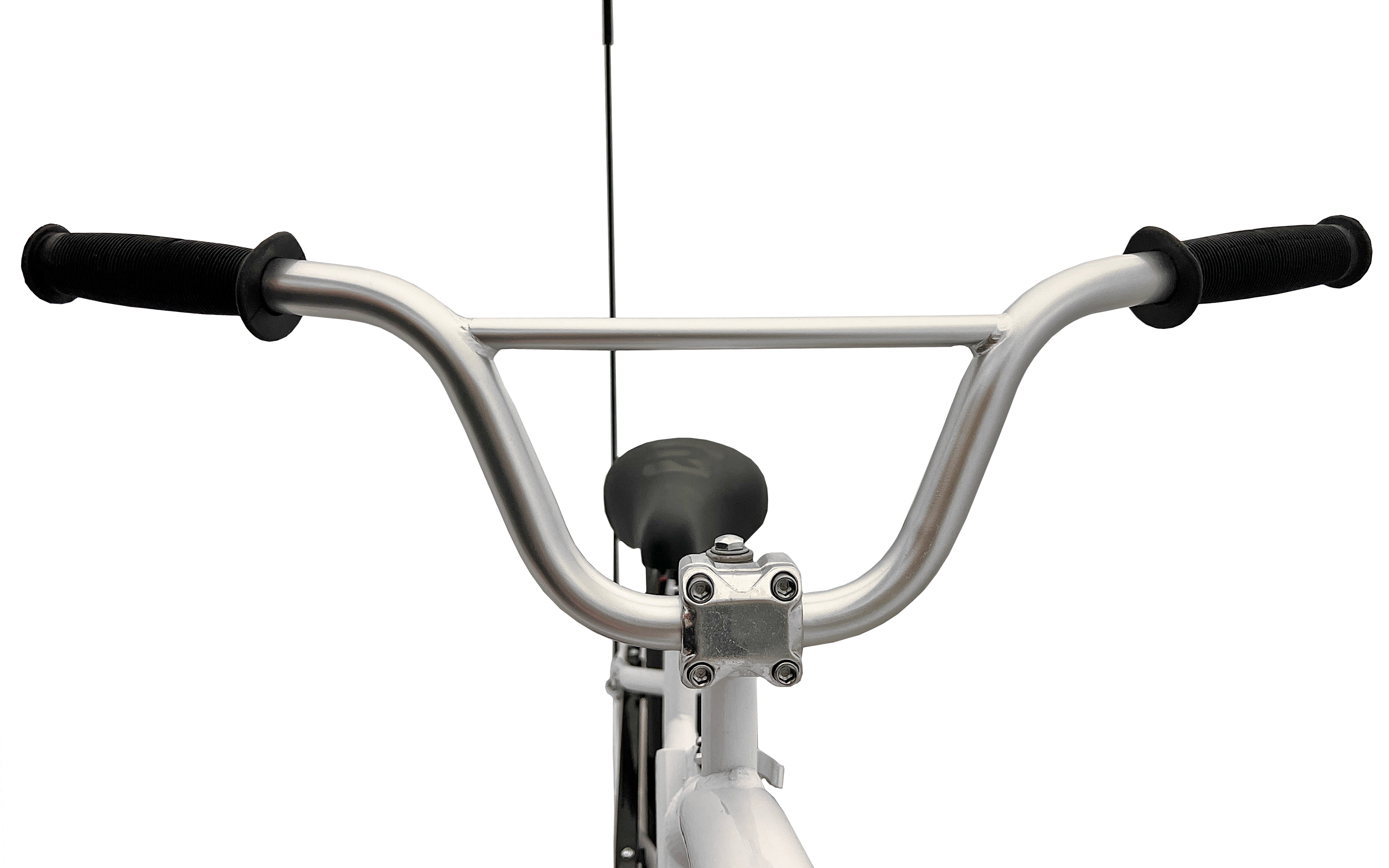 Vélo de remorque Ryde Co-Pilot de 20 po