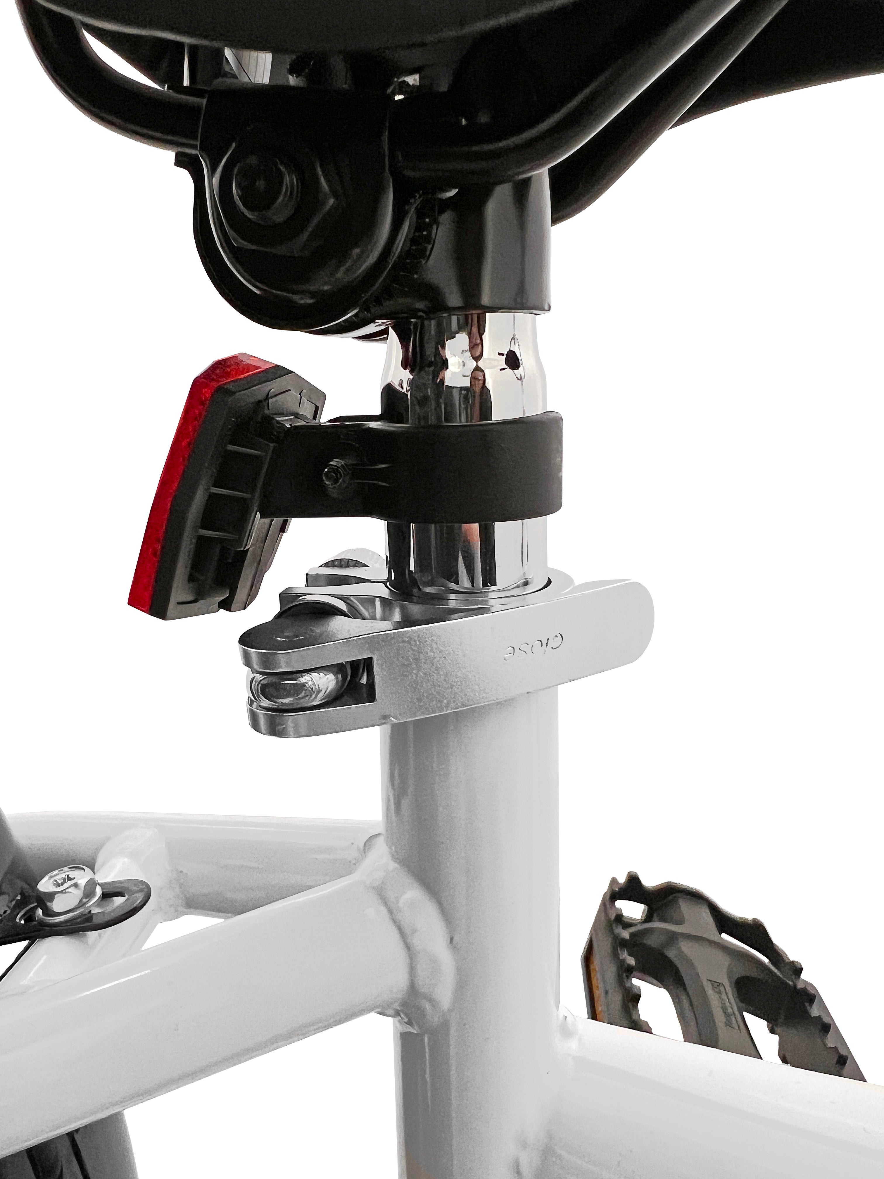 Vélo de remorque Ryde Co-Pilot de 20 po